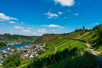 Panoramic view of the moselle vineyards, germany. thurant castle near alken on the moselle .