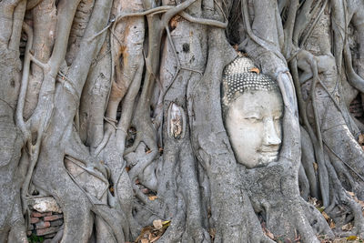 Sculpture of buddha statue