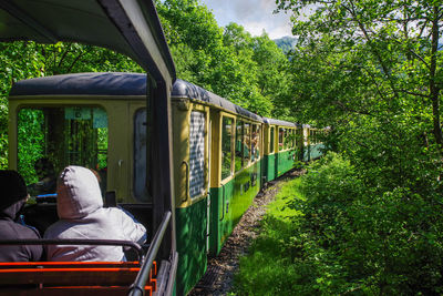 Rear view of man sitting in train