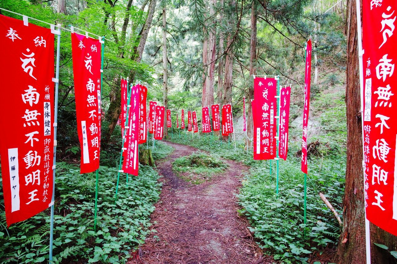 red, text, western script, communication, non-western script, information sign, sign, information, no people, day, outdoors, hanging, close-up, capital letter, tree, variation, display, guidance, patriotism, freshness