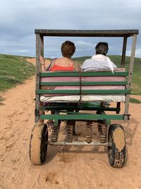  horse cart trip with woman in the national park 