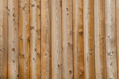 Full frame shot of bamboo on wooden fence