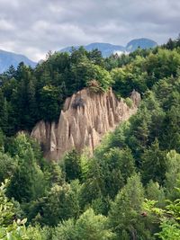 Scenic view of trees and mountains against sky