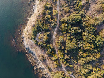 Birds eye view of a coastline with trees and a path way