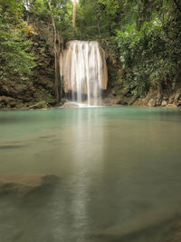 Scenic view of waterfall in forest