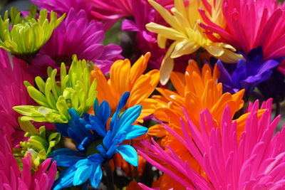 Full frame shot of purple flowers