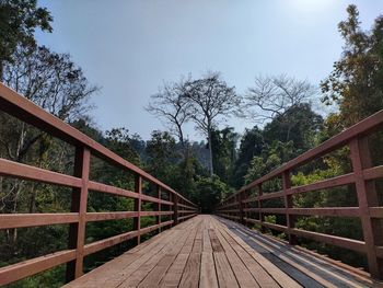 Footpath amidst trees in forest against sky