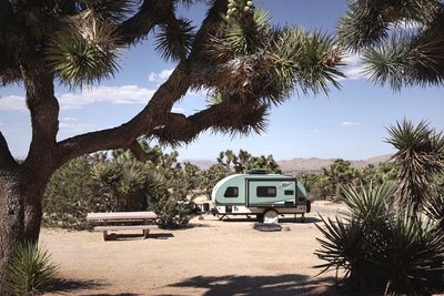 Caravan on field against trees