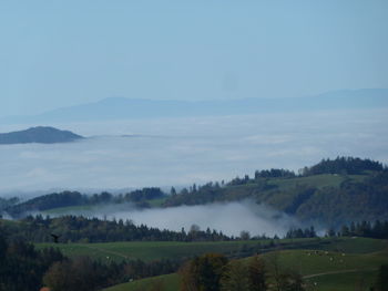 Scenic view of landscape against sky