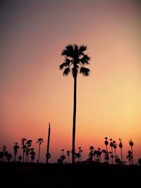 Low angle view of silhouette palm trees against orange sky during sunset