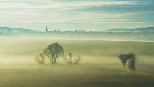 Trees on field against sky with fog while sunset