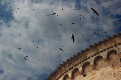 Low angle view of birds flying in sky