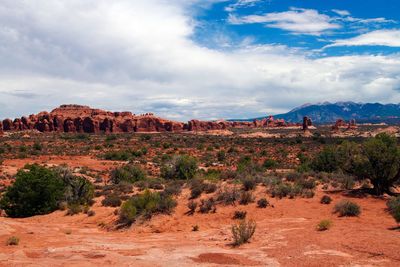 Scenic view of landscape against sky