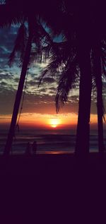 Silhouette palm trees on beach against sky at sunset