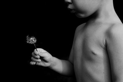 Close-up of hands holding flower