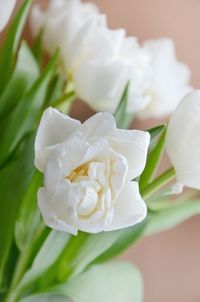 Close-up of white rose bouquet