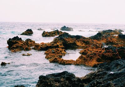 Scenic view of sea against clear sky