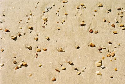 Full frame shot of sand