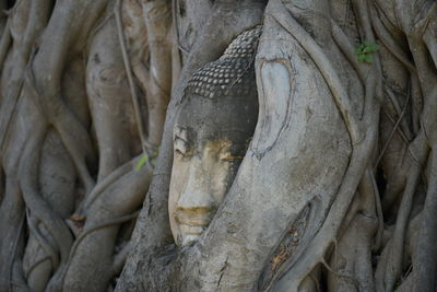 Close-up of buddha statue