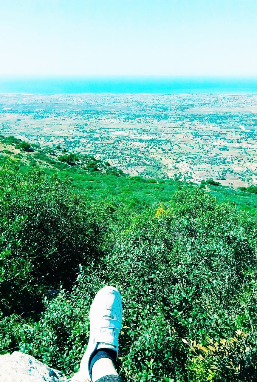 LOW SECTION OF PERSON STANDING ON PLANTS AGAINST SKY