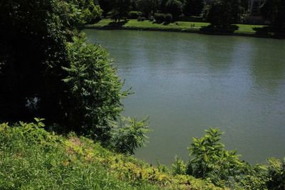 High angle view of lake amidst trees