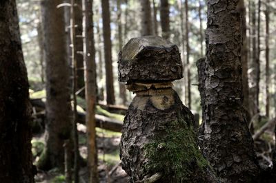 Wooden sculpture in the forrest. 