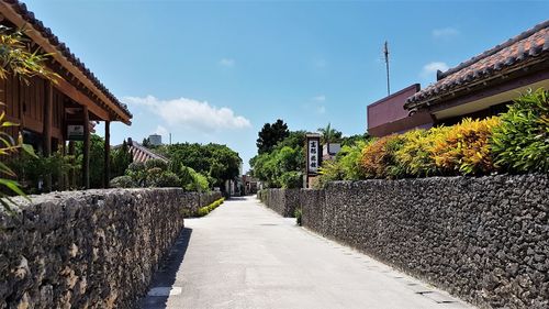 Road between houses on taketomi island 