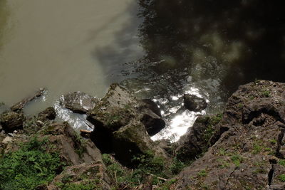 High angle view of water flowing through rocks