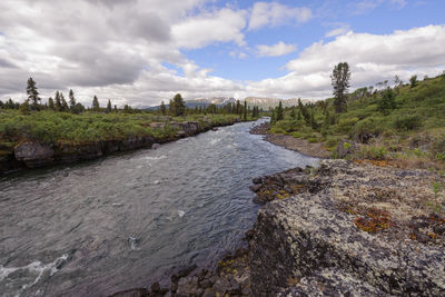 River flowing amidst plants against sky