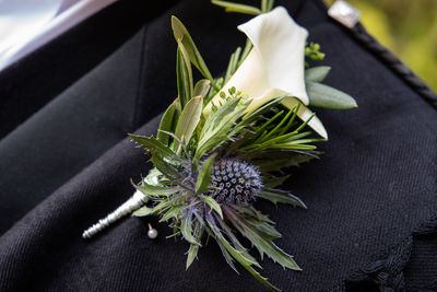 High angle view of flowering plant