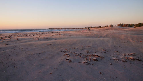 Scenic view of beach against clear sky