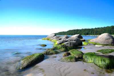 Rocks on beach against blue sky