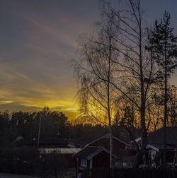 Bare trees against sky at sunset
