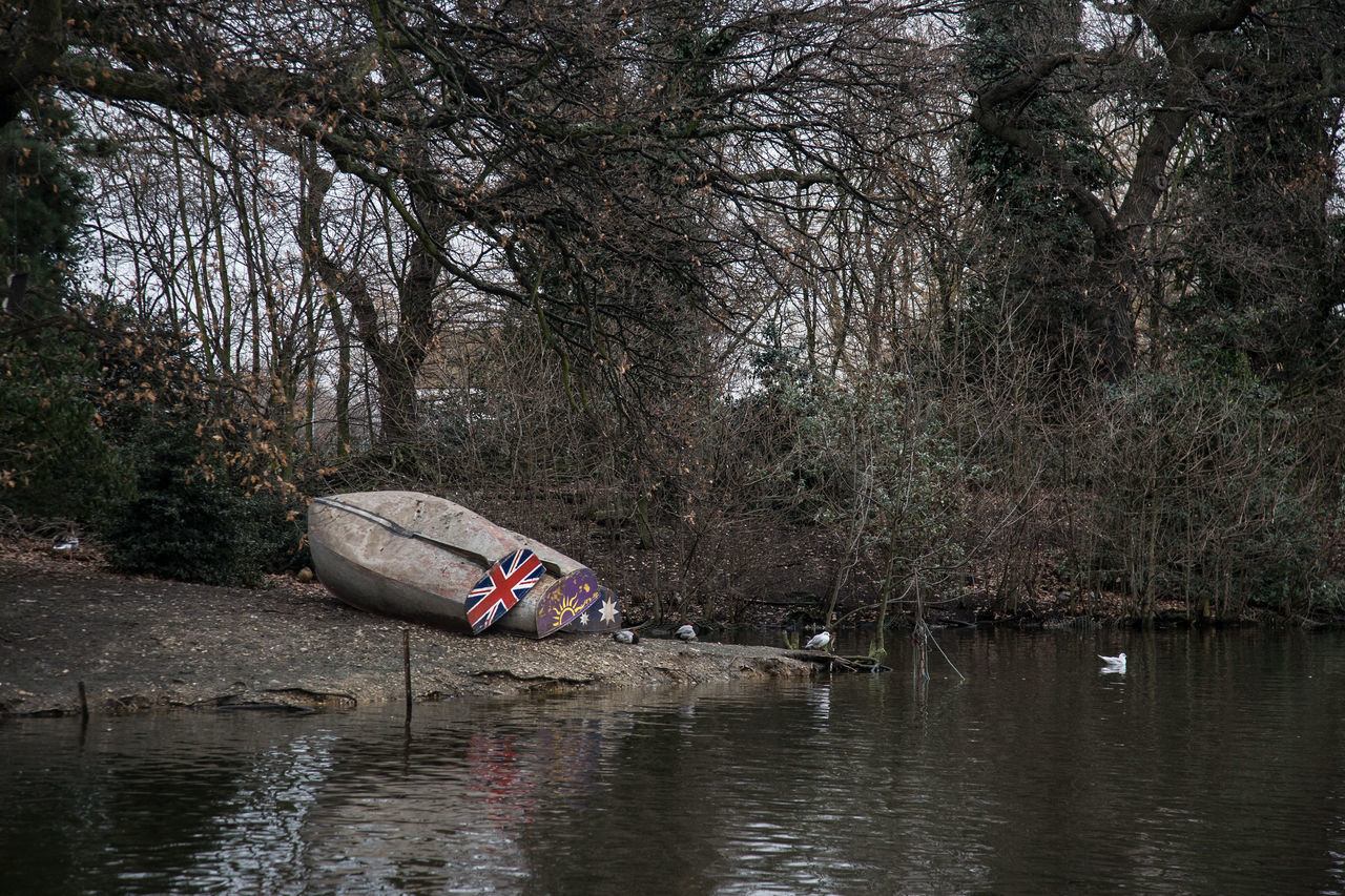 tree, water, nature, nautical vessel, river, transportation, rowboat, outdoors, reflection, bare tree, day, mode of transport, waterfront, no people, tranquility, branch, forest, beauty in nature