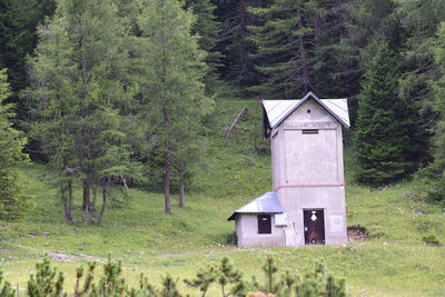 House on field by trees in forest