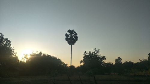 Silhouette trees on field against sky at sunset