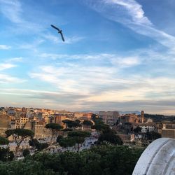 High angle view of cityscape