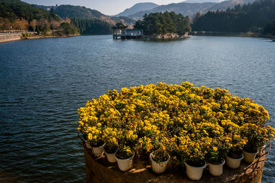 Scenic view of lake by plants against mountain