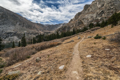 Hiking trail in the mount evans wilderness, colorado