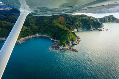 High angle view of sea and trees