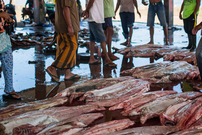 Low section of people standing by fish at market