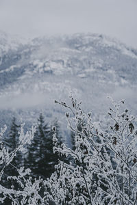 Scenic view of snow covered mountains against sky