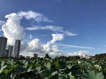 Panoramic view of city buildings against sky