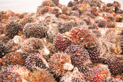 Full frame shot of fruits