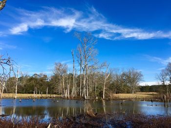 Scenic view of lake against sky