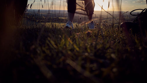 Low section of woman walking on plants at sunset