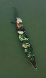 High angle view of animal floating on lake