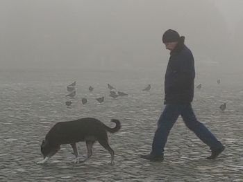 Man standing on beach