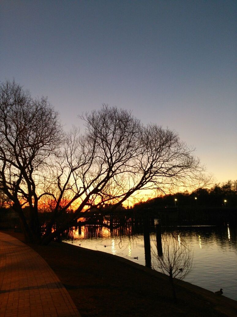 bare tree, tree, water, clear sky, sunset, silhouette, tranquility, tranquil scene, lake, scenics, branch, river, nature, beauty in nature, reflection, copy space, built structure, sky, dusk, architecture