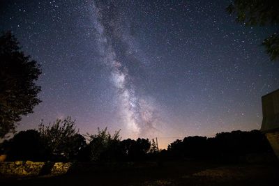 Silhouette trees against sky at night